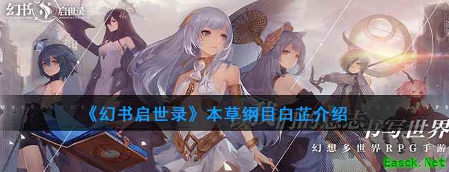 《幻书启世录》本草纲目白芷介绍