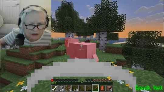 《我的世界》直播老奶奶爆火 游戏中狂怒附体观众惊叹