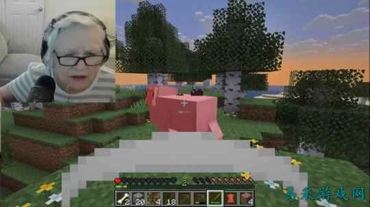 《我的世界》直播老奶奶爆火 游戏中狂怒附体观众惊叹