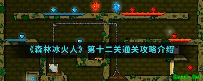 《森林冰火人》第十二关通关攻略介绍