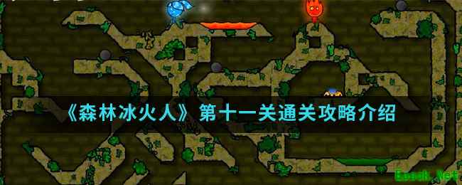 《森林冰火人》第十一关通关攻略介绍