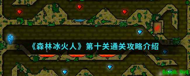 《森林冰火人》第十关通关攻略介绍