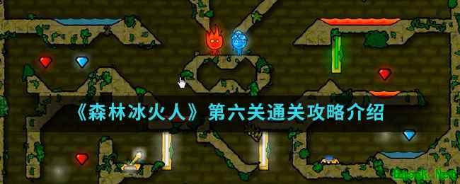 《森林冰火人》第六关通关攻略介绍