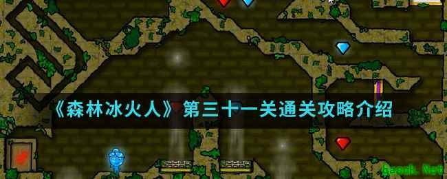 《森林冰火人》第三十一关通关攻略介绍