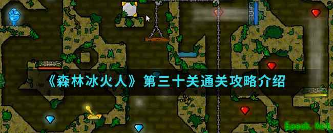 《森林冰火人》第三十关通关攻略介绍