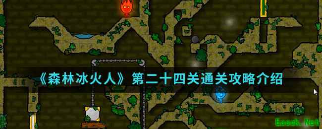 《森林冰火人》第二十四关通关攻略介绍