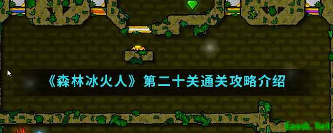 《森林冰火人》第二十关通关攻略介绍