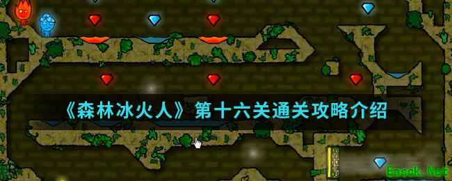 《森林冰火人》第十六关通关攻略介绍