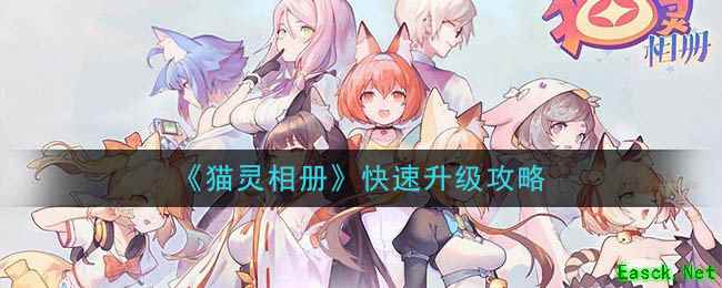 《猫灵相册》快速升级攻略