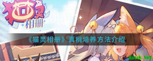 《猫灵相册》真桃培养方法介绍