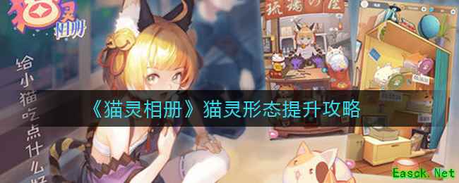 《猫灵相册》猫灵形态提升攻略
