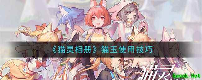 《猫灵相册》猫玉使用技巧