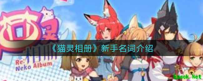 《猫灵相册》新手名词介绍