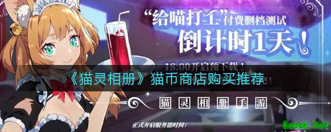 《猫灵相册》猫币商店购买推荐