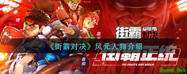 《街霸对决》风元人物介绍