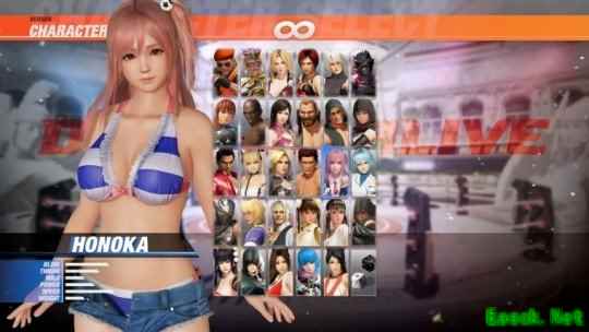 忍者组CEO谈《死或生》系列未来 可能会出第七部吧