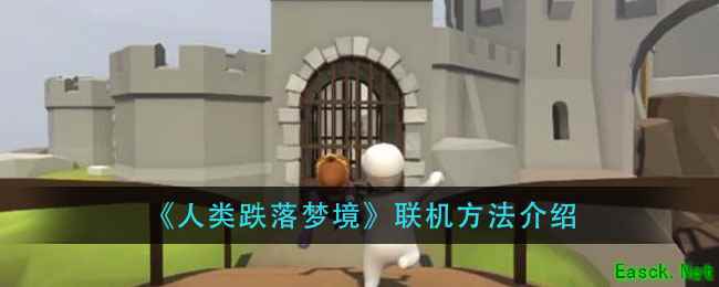 《人类跌落梦境》联机方法介绍