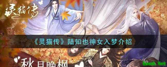 《灵猫传》陆知也神女入梦介绍