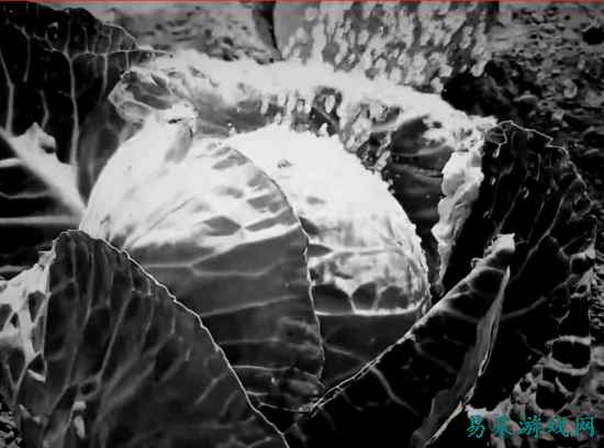 恐怖游戏被Steam禁售：开发者称没有给出任何解释