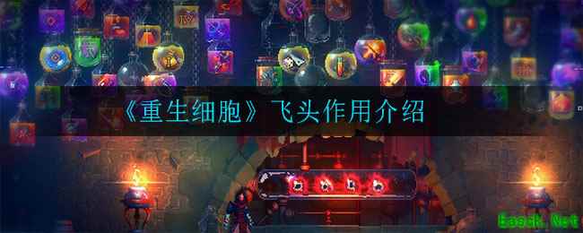 《重生细胞》飞头作用介绍