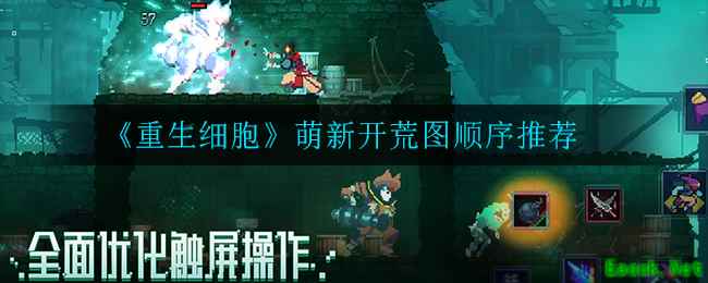 《重生细胞》萌新开荒图顺序推荐