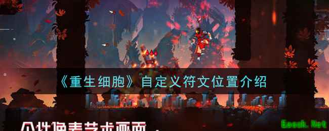 《重生细胞》自定义符文位置介绍