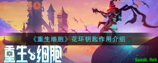 《重生细胞》花环钥匙作用介绍