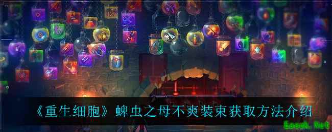 《重生细胞》蜱虫之母不爽装束获取方法介绍