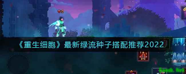 《重生细胞》最新绿流种子搭配推荐2022