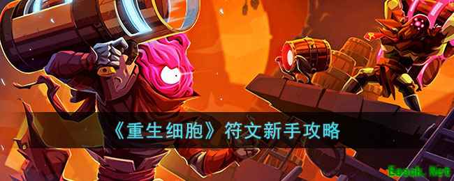 《重生细胞》符文新手攻略