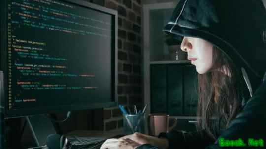 黑客“女皇”指责社区忘恩负义 玩家：爱做不做！