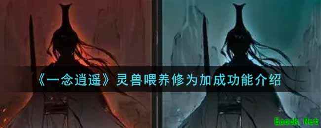 《一念逍遥》灵兽喂养修为加成功能介绍