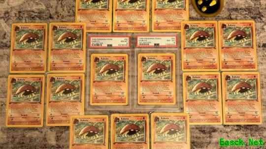 一张原价1美元的化石盔宝可梦卡牌竟卖到5万美元