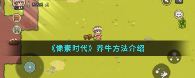 《像素时代》养牛方法介绍