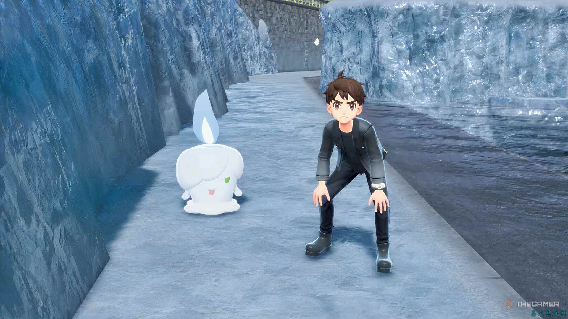 《宝可梦传说 Z-A》MEGA世界闪狩方法或为系列最佳