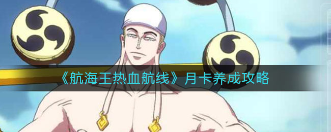 《航海王热血航线》月卡养成攻略