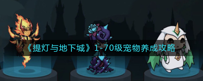 《提灯与地下城》1-70级宠物养成攻略