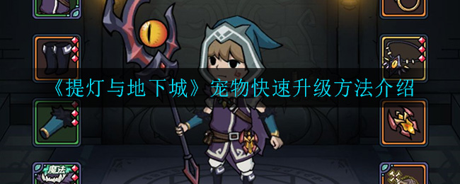 《提灯与地下城》宠物快速升级方法介绍