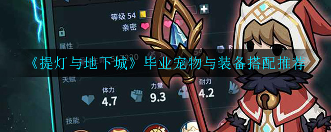 《提灯与地下城》毕业宠物与装备搭配推荐