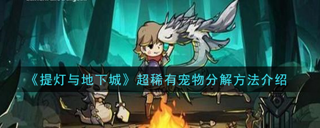 《提灯与地下城》超稀有宠物分解方法介绍