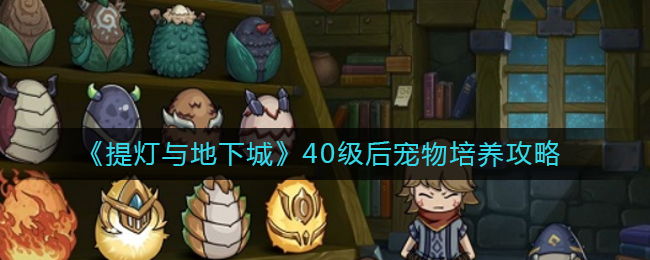 《提灯与地下城》40级后宠物培养攻略