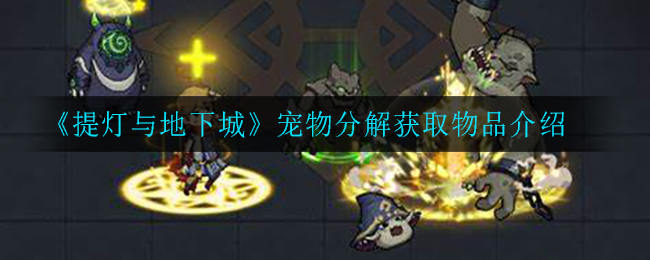 《提灯与地下城》宠物分解获取物品介绍