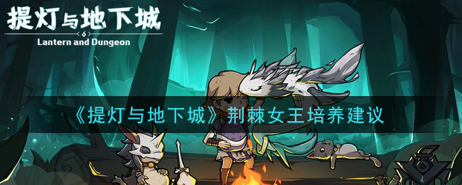 《提灯与地下城》荆棘女王培养建议