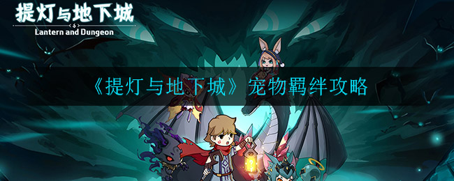 《提灯与地下城》宠物羁绊攻略