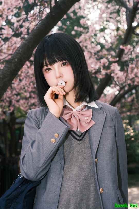 学者coser @会飞的芽子)