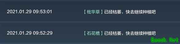 妄想山海：萌新采集攻略