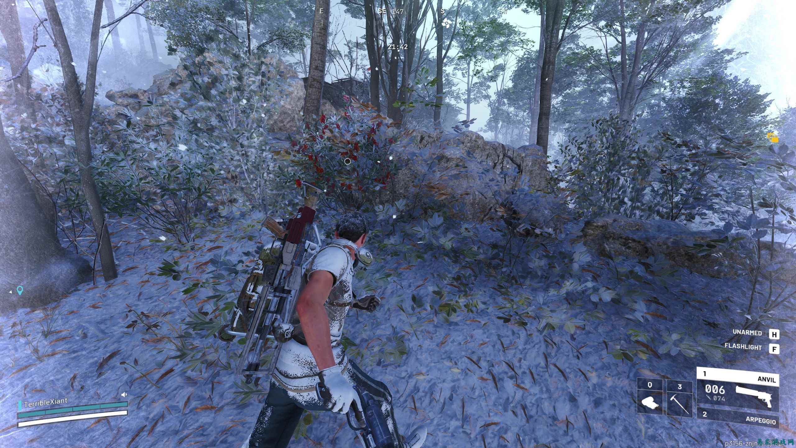 Arc Raiders 最佳烛果采集位置推荐