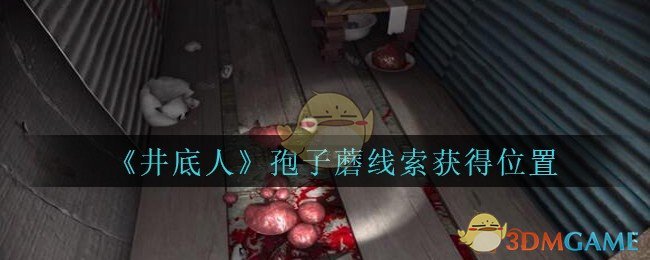 《孙美琪疑案：井底人》五级线索——孢子蘑