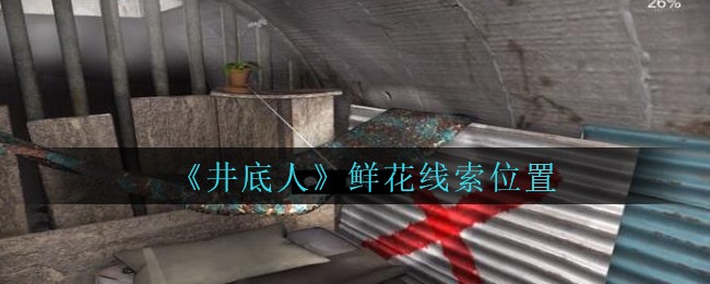 《孙美琪疑案：井底人》五级线索——鲜花