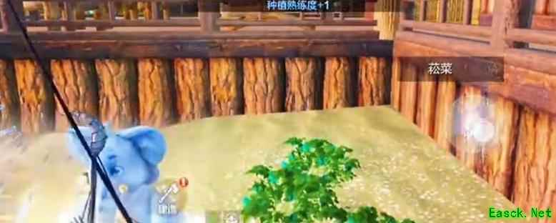 妄想山海菘菜获取攻略